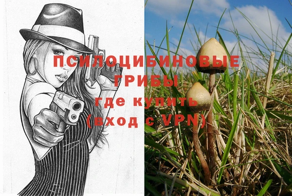 хмурый Абдулино