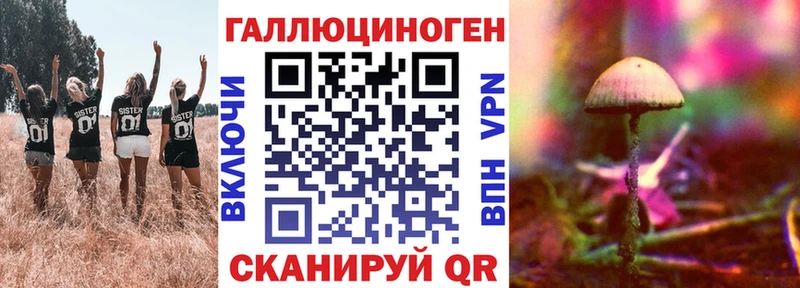 где купить   Абаза  МЕГА маркетплейс  Псилоцибиновые грибы мицелий 